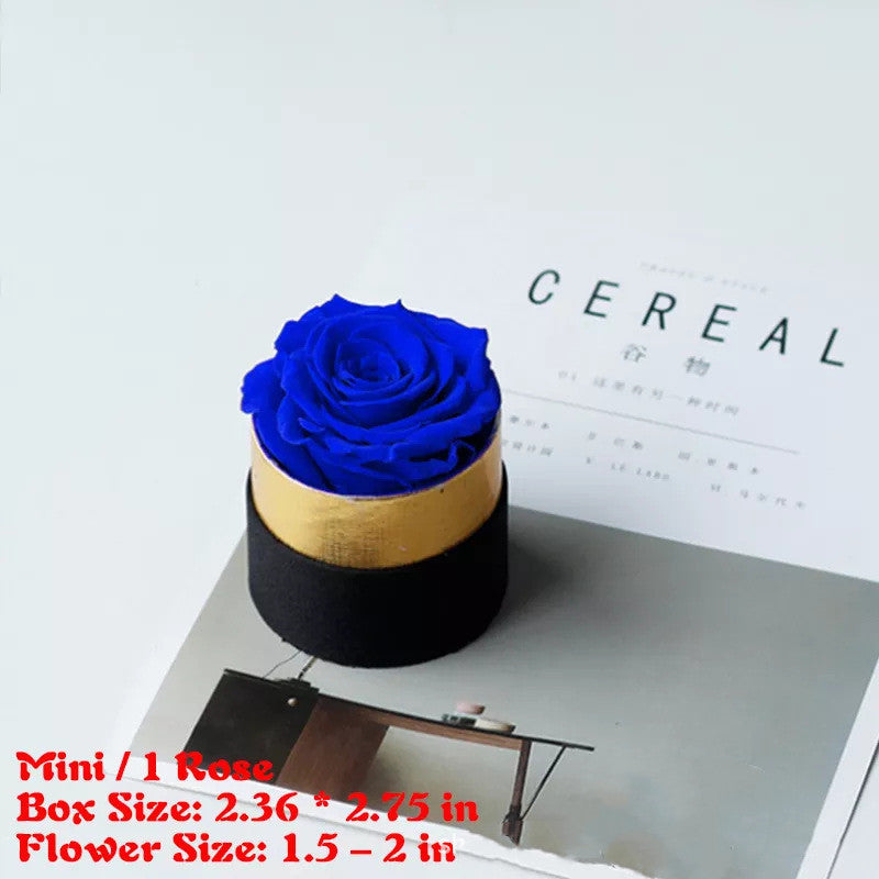 Preserved Flower Rose Hug Bucket Christmas Gift Box