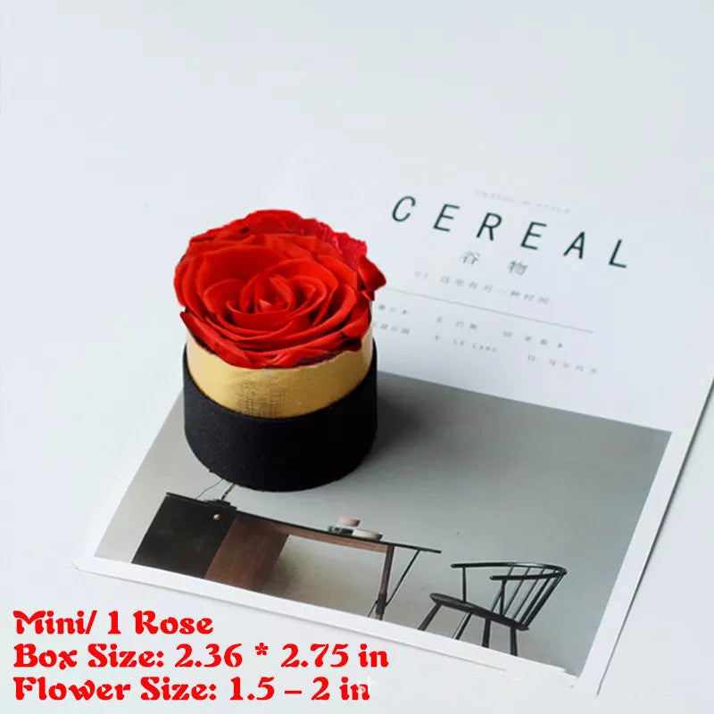 Preserved Flower Rose Hug Bucket Christmas Gift Box