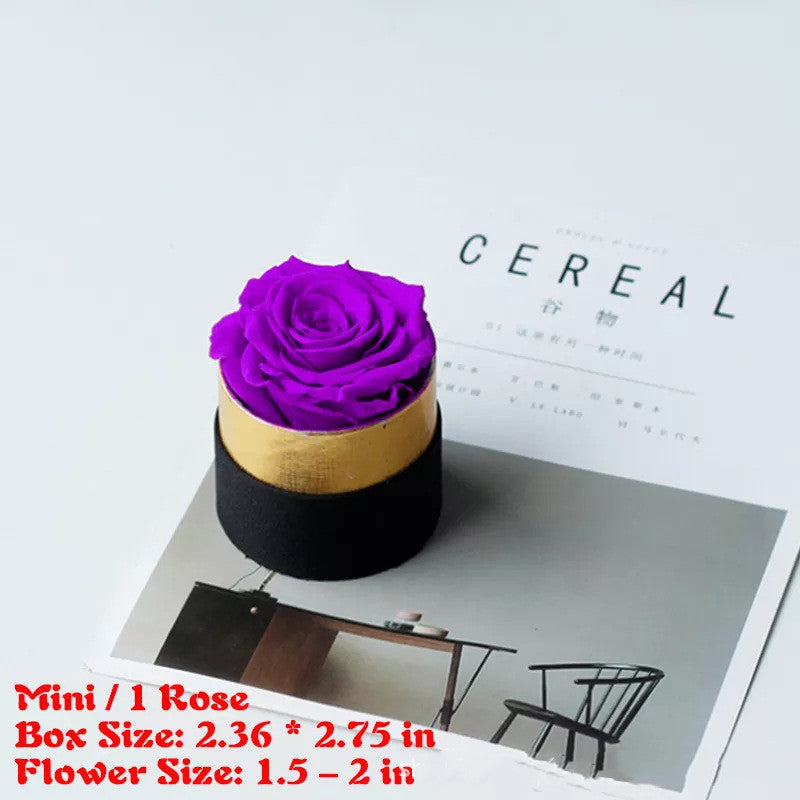 Preserved Flower Rose Hug Bucket Christmas Gift Box